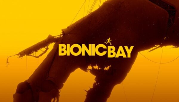 Купить Bionic ключ