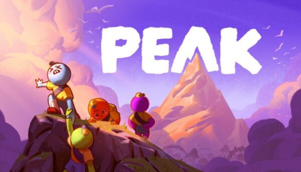 Купить PEAK ключ