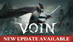 Купить VOIN ключ
